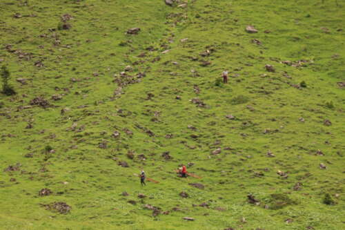 20210711130434 IMG 5722