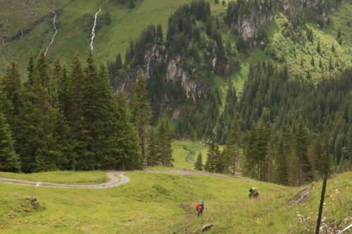 20210714142045 IMG 5903