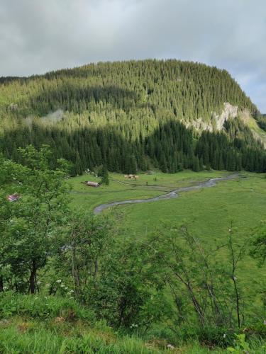 IMG 20210711 084017