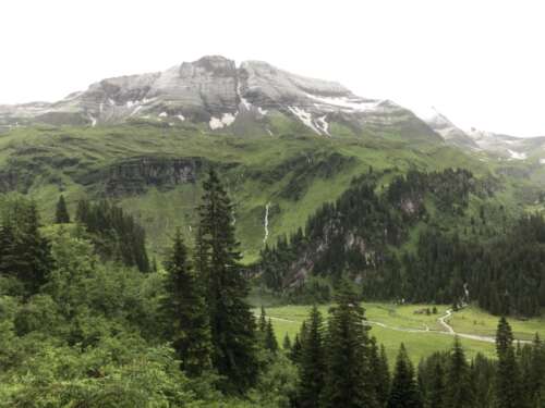 IMG 4974